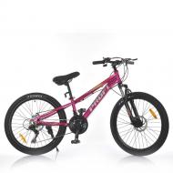 Велосипед детский Profi малиновый MTB2401-3