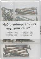 Набор универсальных шурупов 76 шт. Набор универсальных шурупов 76 шт.