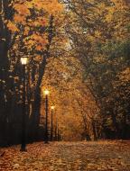 Картина LED Осінь, з елементами живлення 40x30 см помаранчевий