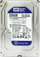 Жесткий диск Western Digital Blue 250 ГБ 3,5" SATA III (WD2500AAKX) Жесткий диск Western Digital Blue 250 ГБ 3,5" SATA III (WD2500AAKX)