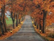 Картина LED Алея восени, з елементами живлення 30x40 см помаранчевий