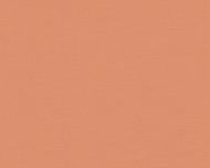 Обои виниловые на флизелиновой основе A.S. Creation Antigua 39097-3 0,53x10,05 м