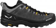 Кроссовки мужские Salewa Alp Trainer 2 GTX 61400-8760 р.42 черные