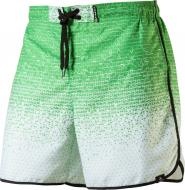 Шорты Firefly Dalton ux 273264-750 р. XL зеленый