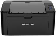 Принтер Pantum P2207 (P2207)