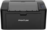 Принтер Pantum P2507 А4 (P2507)