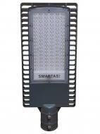 Светильник консольный Smartas Gaytana 6000 K IP65 LED 100 Вт серый GA2-420100W-46-19F2