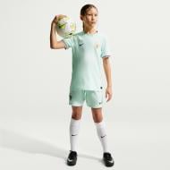 Футболка Nike FFF Y NK DF JSY SS STAD AW IB5202-394 р.L голубой Футболка Nike FFF Y NK DF JSY SS STAD AW IB5202-394 р.L голубой