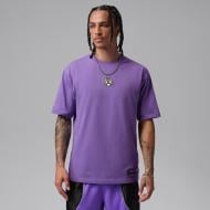 Футболка Nike M J DF SPT STMT SS TEE Q54 IO8037-529 р.3XL фиолетовый