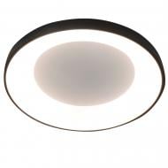 Светильник светодиодный Victoria Lighting с пультом 65 Вт черный Leaf/PL500 black