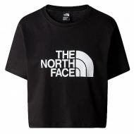 Футболка THE NORTH FACE NF0A87NA-JK3 р.S черный