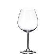 Набір бокалів для вина Gastro 650 мл 6 шт. Bohemia