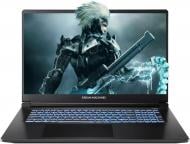 Ноутбук Dream Machines RT5070-17 17,3" (RT5050-17UA24) black