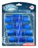Туалетний блок Wellnax Синя вода Океан 4х50 г BLK-436