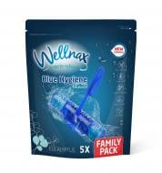Туалетный блок Wellnax Синяя вода Эвкалипт 5х50 г BLK-439