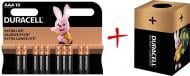 Батарейки лужні Duracell AAA (мізинчикові) 10 шт. (+ Еко-бокс Duracell)