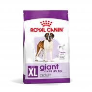 Корм сухий для дорослих собак для гігантських порід Royal Canin GIANT ADULT 15 кг (свійська птиця, рис, кукурудза) 15 кг