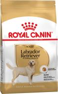 Корм сухий для дорослих собак для крупних порід Royal Canin LABRADOR RETRIEVER ADULT 12 кг (свійська птиця, рис, куку