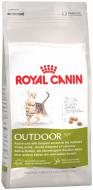 Корм сухой для активных кошек, которые часто бывают на улице Royal Canin Outdoor домашняя птица, рис, кукуруза 400 г Корм сухой для активных кошек, которые часто бывают на улице Royal Canin Outdoor домашняя птица, рис, кукуруза 400 г