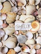 Блокнот Рисунки природы – Ракушки А4 в линию 96 листов Optima