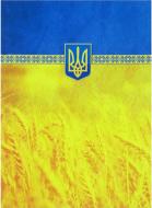 Блокнот Орнамент жовто-блакитний А4 96 арк. лінія Optima