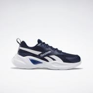 Кроссовки мужские демисезонные Reebok ROYAL EC RID EF7767 р.40 синие