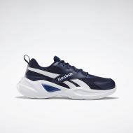 Кросівки чоловічі демісезонні Reebok ROYAL EC RID EF7767 р.43 сині