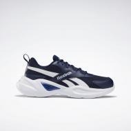 Кроссовки мужские демисезонные Reebok ROYAL EC RID EF7767 р.45,5 синие