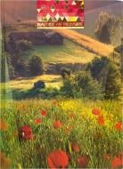 Блокнот Nature of Ukraine – Маки А4 в клетку 96 листов Optima