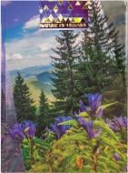 Блокнот Nature of Ukraine – Ліс А4 в клітинку 96 арк. Optima