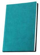 Блокнот недатированный деловой бирюзовый линия Optima Vivella A6 O20383-21