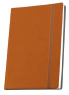 Блокнот недатированный на резинке линия Optima Vivella A6 O20384-06