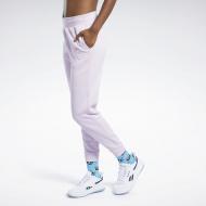 Брюки Reebok CL F VECTOR PANTS FJ3300 р. M розовый