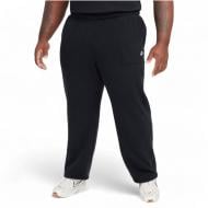 Штани Nike Nk Club Ssnl Winterized Pant FZ0899-010 р. XL чорний Штани Nike Nk Club Ssnl Winterized Pant FZ0899-010 р. XL чорний