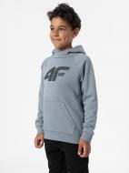 Джемпер 4F SWEATSHIRT M220 4FJSS23TSWSM220-34S р. 128 блакитний