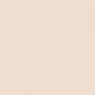 Краска латексная водоэмульсионная с колорированием Dufa Europlast 7 DE 107 шелковистый мат VN 2684 Капучино 10 л