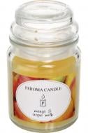 Свеча ароматическая Feroma Candle Арома Банка Mango Fruit