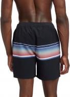 Шорты Firefly 422806-903 052/283 р. M разноцветный