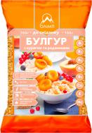 Булгур Олимп с курагой и изюмом 700 г