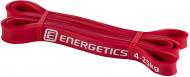 Эспандер Energetics 4-25 276220-251 Эспандер Energetics 4-25 276220-251