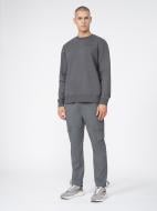 Брюки 4F 4FSS23TTROM136-22S р. S серый