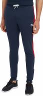 Брюки Energetics Silos IV M 417234-900516 р. S синий