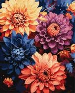 Картина по номерам (в обложке) Красочные георгины 40х50 см Ideyka