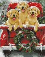 Алмазная мозаика Собачья поездка ©art_selena_ua Ideyka