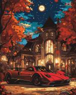 Картина по номерам Жизнь в роскоши 40х50 см Ideyka