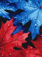 Картина по номерам Осенняя роса 30х40 см Ideyka