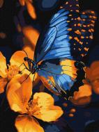 Картина по номерам Мерцание крыльев 30х40 см Ideyka