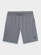 Шорти 4F 4FSS23TFSHM199-27M р. 2XL сірий