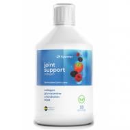 Комплекс для суставов и связок Sporter Joint Support berry 500 мл