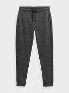 Брюки 4F TROUSERS CAS M223 4FSS23TTROM223-23M р. S серый